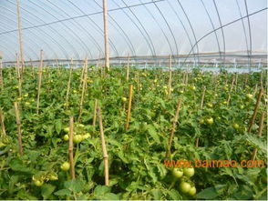 江蘇信譽(yù)好的戶(hù)外垂釣生產(chǎn)基地,江蘇垂釣,江蘇信譽(yù)好的戶(hù)外垂釣生產(chǎn)基地,江蘇垂釣生產(chǎn)廠(chǎng)家,江蘇信譽(yù)好的戶(hù)外垂釣生產(chǎn)基地,江蘇垂釣價(jià)格