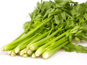 全家福膳食食堂蔬菜配送服務報價 南城蔬菜配送公司