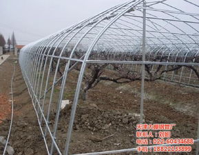 劉姐 蔬菜大棚配件廠家 長壽區大棚配件廠