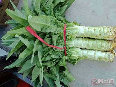 【泰安市岱岳區馬莊鎮-萵苣-青皮青肉】,價格,廠家,供應商,新鮮蔬菜,泰安市糧舒蔬菜專業合作社 - 產品庫