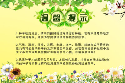 剪秋園藝廠家直銷蔬菜草籽 白豌豆與青豌豆，家庭陽臺種植的理想選擇